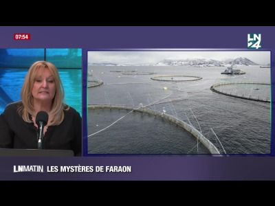 Les mystères de Faraon - Des saumons d’élevage se font la belle en Norvège episode artwork