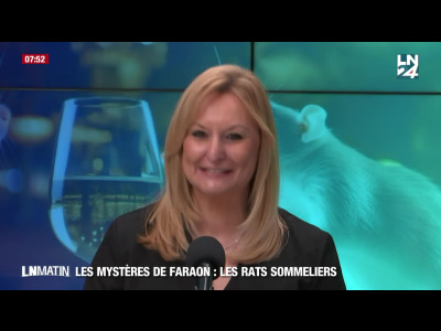 Les Mystères de Faraon - Le vin, entre dégustations et maux de tête episode artwork