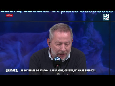 Les Mystères de Faraon -  Labradors, obésité et plats suspects, il n’y a qu’un pas episode artwork