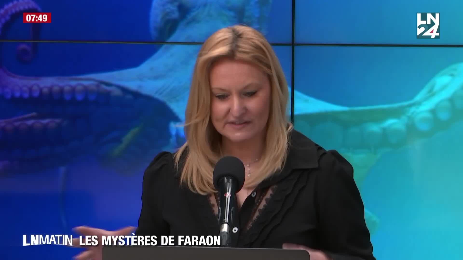 Les Mystères de Faraon - Les pieuvres peuvent-elles batir une nouvelle civilisation ? episode artwork