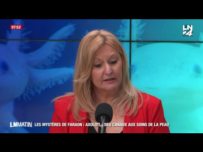 Les Mystères de Faraon - Axolotl : des canaux aux soins de la peau episode artwork