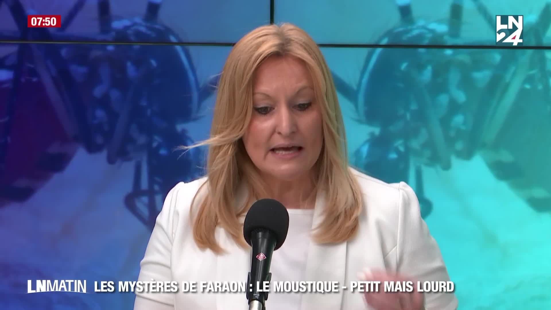 Les Mystères de Faraon - Les moustiques : petits mais lourds... episode artwork