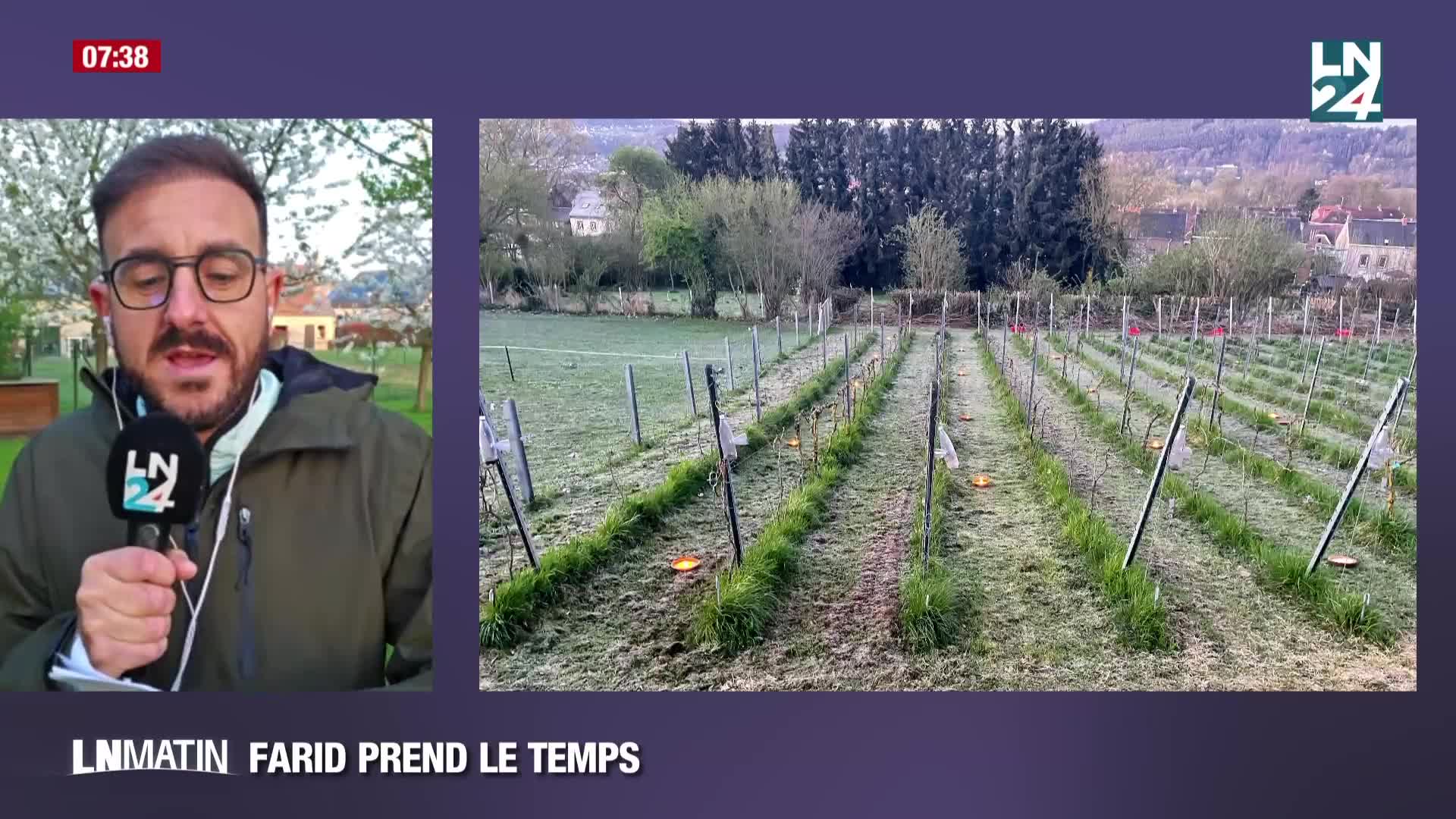 Farid prend le temps - En province de Namur, on protège les vignes episode artwork