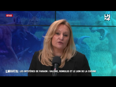 Les Mystères de Faraon - Loups, chien et lionne, les animaux font parler episode artwork