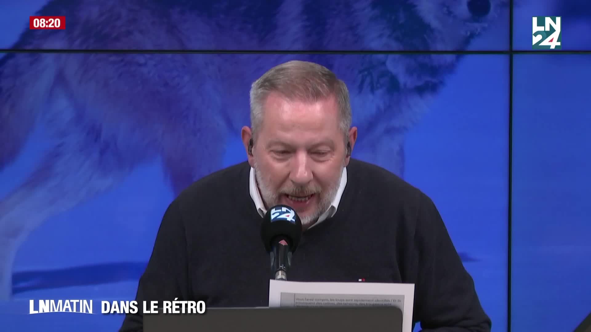 Dans le Rétro - A quelle époque le loup a-t-il disparu en Belgique ? episode artwork