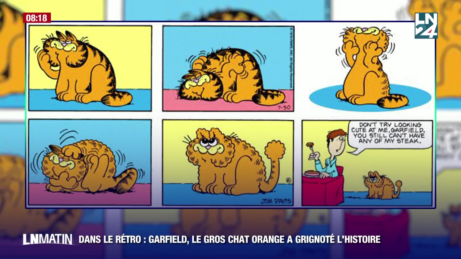 Dans le Rétro - On célèbre Garfield episode artwork