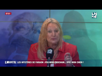 Les Mystères de Faraon - Vous sauveriez un inconnu ou votre chien ? episode artwork