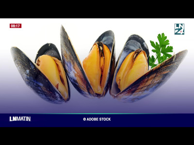 Dans le Rétro - Les Moules Frites” sont déjà de retour episode artwork