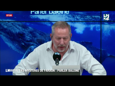 Les Mystères de Faraon - Parlons baleine episode artwork