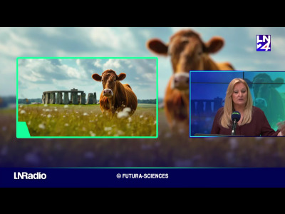 Les Mystères de Faraon - Une dent de vache à Stonehenge episode artwork