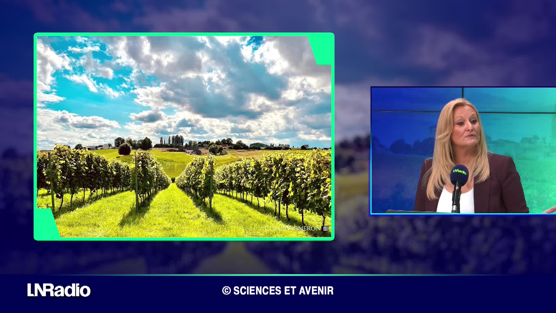 Les Mystères de Faraon - Climat et vignes episode artwork