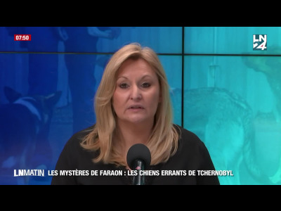 Les mystères de Faraon - Les chiens errants sous microscope episode artwork