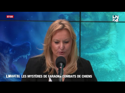 Les mystères de Faraon - Les combats de chiens episode artwork