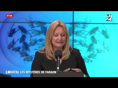 Les mystères de Faraon - Les insectes sont partout episode artwork